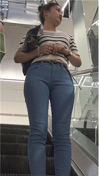 编号7553