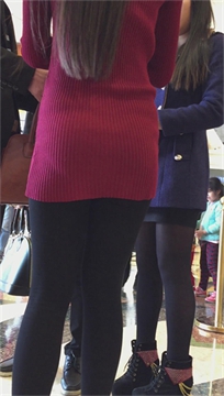编号2587