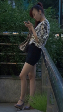 编号3775