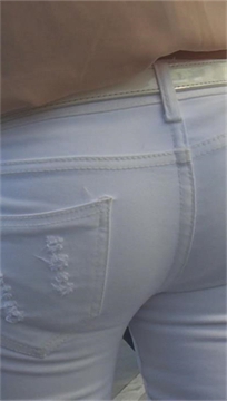 编号3526