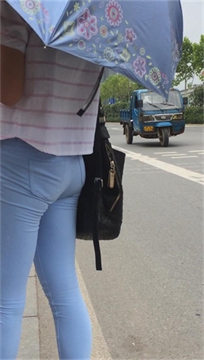 编号2483