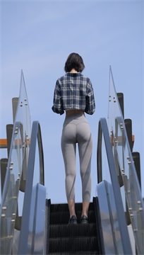 编号1041