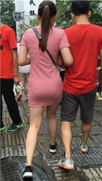 编号2016