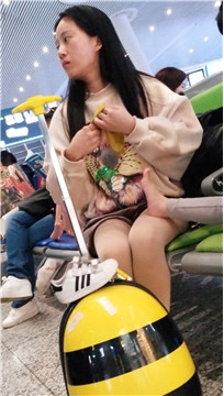 编号2768