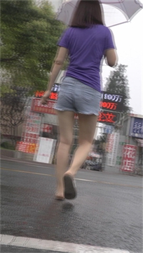 编号2643
