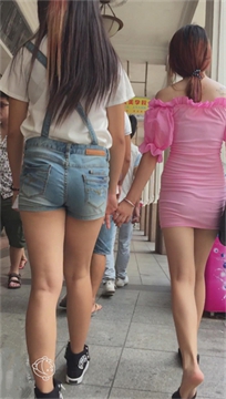 编号2517