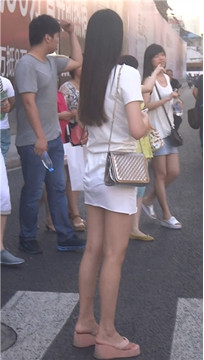 编号3704