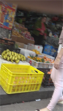 编号2675