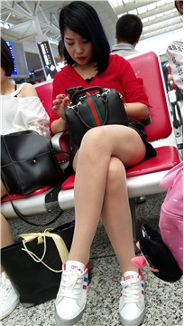 编号2763