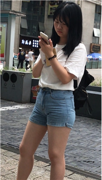 编号3334
