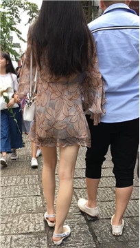 编号2106
