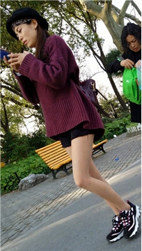 编号4913