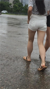 编号2575
