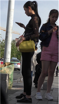 编号3221