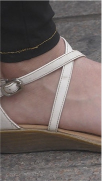 编号6519
