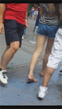 编号2718