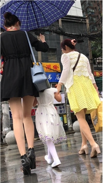 编号2068
