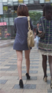 编号2725