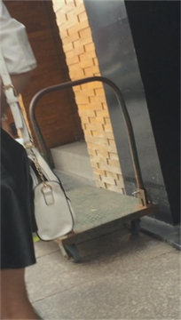 编号7282