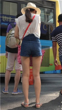 编号4558