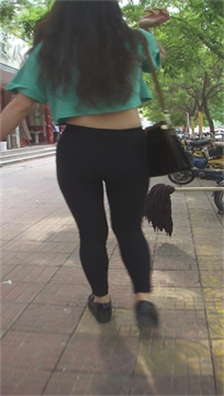 编号6279