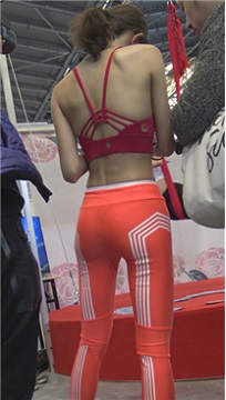 编号7583