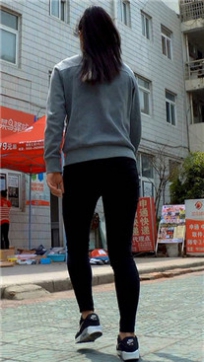 编号5541