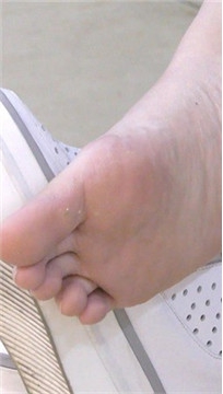 编号6464