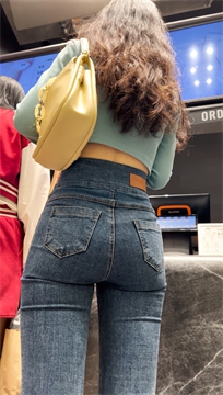 sc133