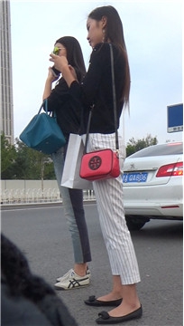 编号3921