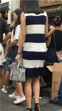 编号2288