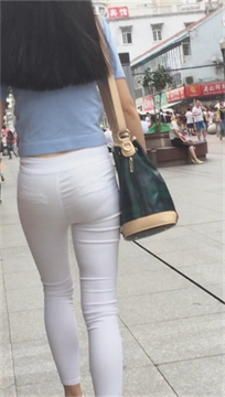 编号2703