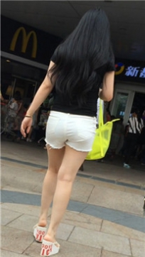 编号4547