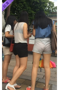 编号523