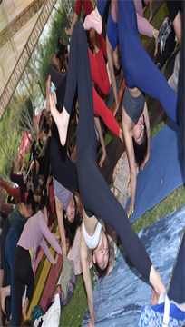 编号1064