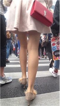 编号2056