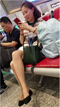 编号2804
