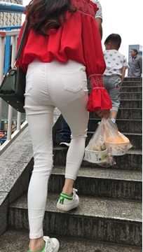编号3937