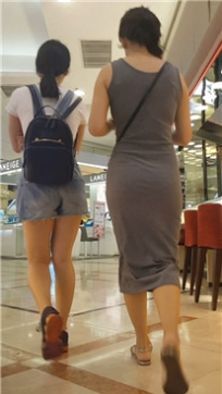 编号2309