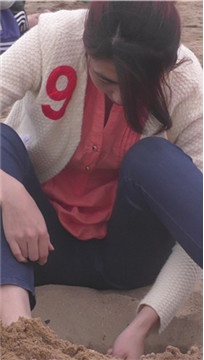 编号6582
