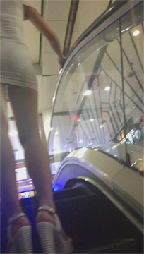 编号7007