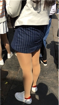 编号1736