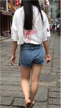 编号4520