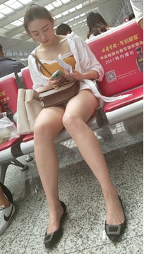 编号2831
