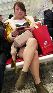 编号2823