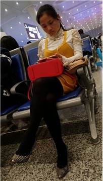 编号2988