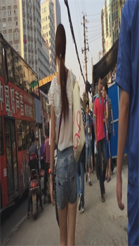 编号3605