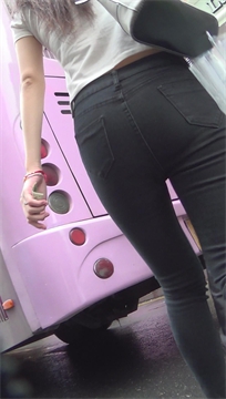 编号3564