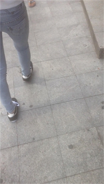 编号3398