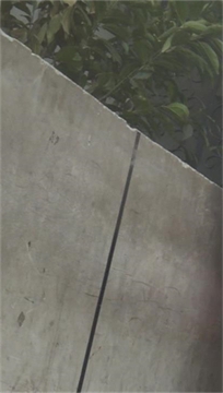 编号2459